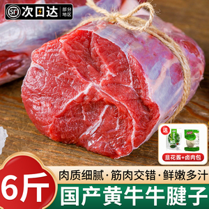 牛腱子肉新鲜10斤原切纯牛腱子冷冻健身牛腿肉生鲜牛肉炖商用批发