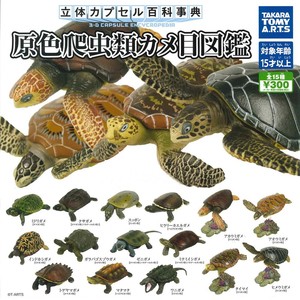 正版TAKARA TOMY扭蛋原色爬虫类乌龟海龟大全套15款