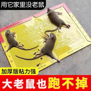 老鼠贴大老鼠贴超强力粘鼠板专业捕鼠神器捉沾胶抓灭鼠家用一锅端