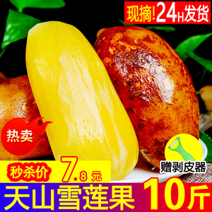 【比价王者】云南天山雪莲果新鲜5/10斤大果应季孕妇水果特级整箱