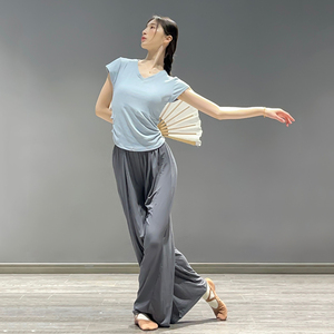 现代舞蹈服女成人春夏短袖露背上衣修身中国舞古典舞形体练功服