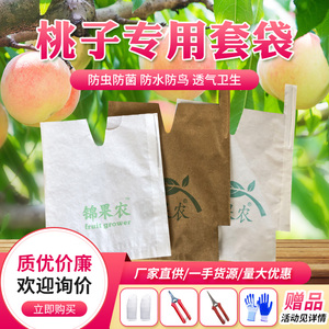 桃新款保护袋苹果育果袋梨袋子桃子专用袋保护双层防鸟防水果袋套