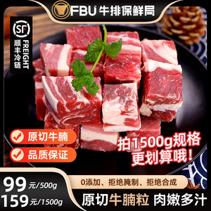 【顺丰】FBU原切雪花牛腩块新鲜牛肉粒冷冻商用生牛肉块烧烤食材