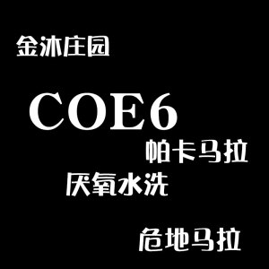 危地马拉 COE6竞拍批次第六名金沐庄园帕卡马拉厌氧水洗咖啡生豆