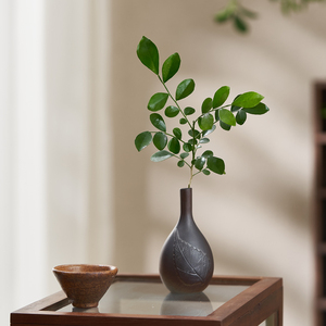 七里香绿萝铜钱草水培微型植物盆栽室内中式茶几桌面意境好养植物