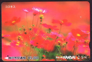 日本交通卡----神户交通局 63 花卉系列
