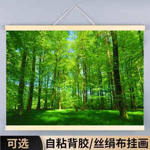 森林海报墙贴大自然绿色护眼门贴风景画装饰挂画树木草地树林海报