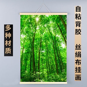 森林大自然风景绿色护眼大树森林背景墙树木树林客厅装饰挂画贴纸