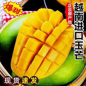 越南进口芒果玉芒特大青皮芒果当季热带水果一整箱10斤金煌甜心忙