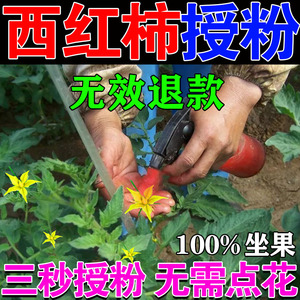 西红柿点花药喷花授粉番茄保花保果药防落果防裂专用叶面肥神器水