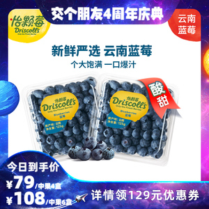 【交个朋友四周年】怡颗莓云南新鲜当季蓝莓中果/大果125g/盒