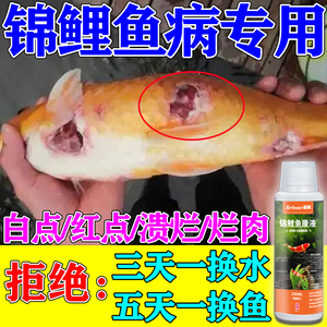锦鲤鱼病专用药鱼身上有红点溃烂防治白点烂身烂尾鳞观赏鱼杀虫药