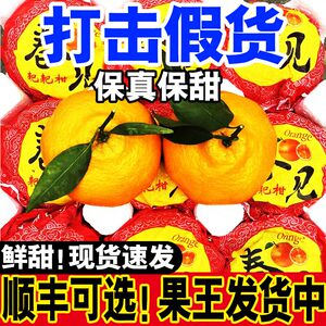 四川春见耙耙柑正宗粑粑柑现摘橘子新鲜10斤丑桔柑橘水果当季整箱