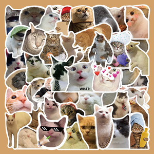 50张搞笑搞怪猫咪贴纸笔记本电脑手账本水杯手机壳装饰DIY贴画
