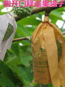 释迦果套袋专用袋林檎番鬼荔枝果袋洋波罗番苞萝佛头水果保护袋子