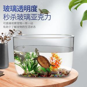 乌龟缸家用客厅饲养箱养乌龟巴西龟鳄龟新款亚克力透明生态缸鱼缸