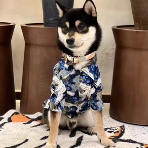 狗狗宠物衬衫猫咪衣服中大型犬泰迪雪纳瑞无毛猫复古唐装