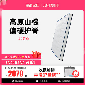 星港家居山棕床垫环保天然棕垫家用偏硬榻榻米护脊海绵棕榈垫子