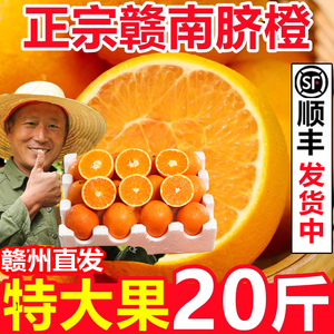 江西赣南脐橙新鲜水果当季20斤赣州产地直发大果手剥甜橙子10整箱