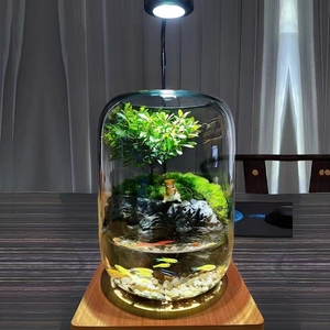 【年年有鱼】苔藓微景观鱼缸养鱼办公桌面生态缸摆件成品盆景礼物