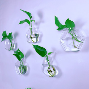 墙面水培玻璃花瓶悬挂式墙上花盆绿萝壁挂鱼缸简约现代小花瓶