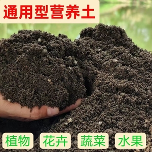 种树种菜专用土阳台家用营养土蔬菜有机肥料种植泥土壤盆栽大棚土