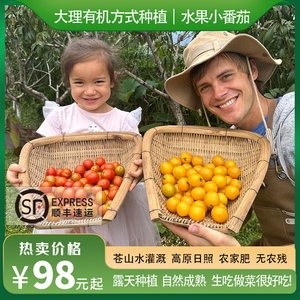 有机方式种植新鲜水果小番茄柿子圣女果自然熟当季生吃西红柿蔬菜