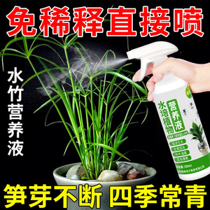 水竹营养液竹子肥料防治叶子发黄改善烂根免稀释肥富贵竹水培通用