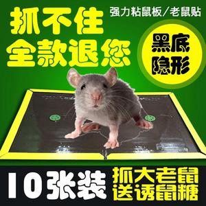 老鼠板超强胶帖糌鼠板强力占黏鼠版强效大张抓沾耗子神器粘贴厚