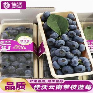 串果蓝莓鲜果250g/盒装 云南带枝甜蓝莓新鲜孕妇水果顺丰