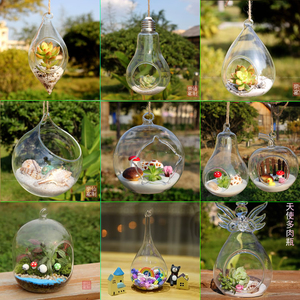 悬挂玻璃花瓶 多肉植物花盆 微景观生态瓶 透明圆形吊瓶 婚庆用品