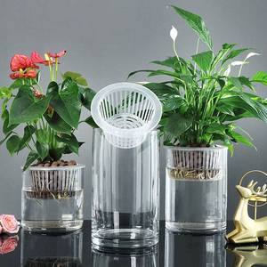 简约水培玻璃透明小花瓶水养绿萝植物花盆瓶子插花装饰创意摆件