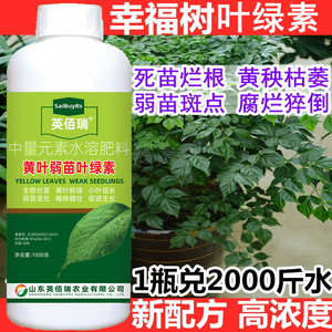 【辛福树专用营养液】黄叶干枝一喷绿平安树肥盆栽植物家用叶面肥