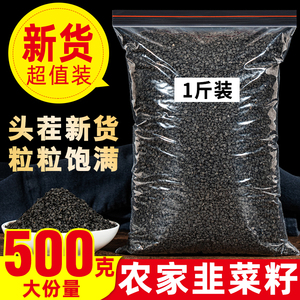 生韭菜籽500g正品中药材非野生韮菜子粉另售男性泡酒茶枸杞黑玛卡