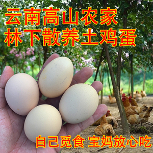 土鸡蛋正宗农家散养新鲜云南高山林下觅食自己家小孩放心吃的20枚