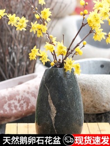 创意石头花瓶简约现代欧式透明水养插花玫瑰百合富贵竹餐桌摆件