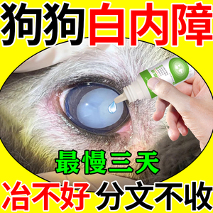 狗狗白内障滴眼液老年宠物猫狗眼睛发炎流脓抗菌消炎专用眼药水