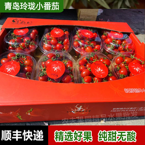 青岛玲珑小番茄小柿子 8盒西红柿 樱桃番茄整箱香味浓郁口感甜