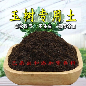 玉树专用土玉树专用营养土盆栽养花种植土壤有机肥料通用种花土培