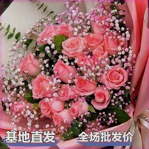 影星粉色新鲜玫瑰花室内客厅鲜花真花水养花包邮