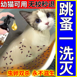 去猫身上跳蚤的药给猫猫驱虫的药幼狗专治耳螨洗澡沐浴露专用喷雾