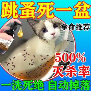 去猫身上跳蚤的药猫咪洗澡专用沐浴露去跳蚤杀菌除螨宠物跳蚤药浴