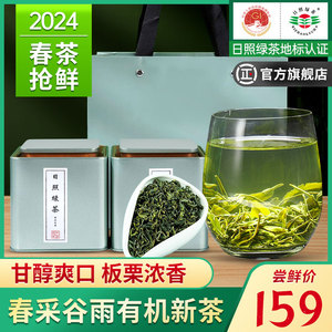 日照绿茶2024年新茶春茶浓香型茶叶礼盒装山东特产250g官方旗舰店