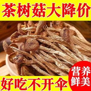 古田茶树菇500g新货干货农家新鲜茶薪菇特级无硫俏香菇蘑菇金针菇