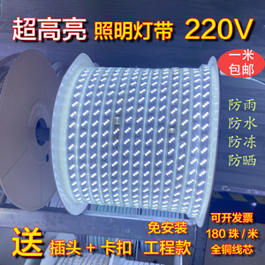 LED白色灯带家装户外防水灯条220V超亮白光工地隧道亮化装饰照明