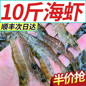 【10斤小海虾】渔民力荐小海虾鲜活冷冻新鲜小虾批发海鲜水产顺丰