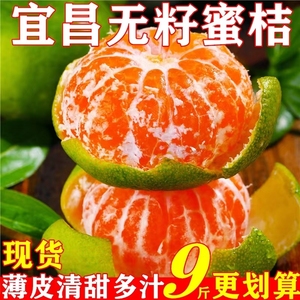 宜昌蜜桔蜜橘青皮桔子5斤薄皮橘子无籽新鲜现摘当季孕妇水果酸10