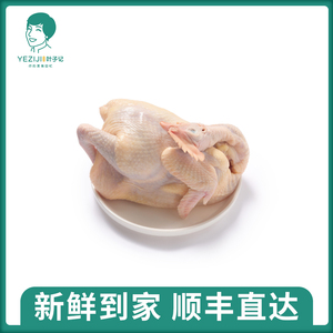 文昌鸡2斤 海南椰子鸡配料 整鸡切块1000g 火锅材料 母鸡土鸡鸡汤