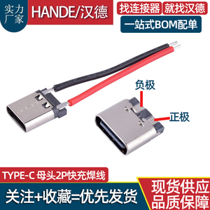 TYPE-C母座2P焊线式USB C口连接器type c母头2P座子3.1快充端子
