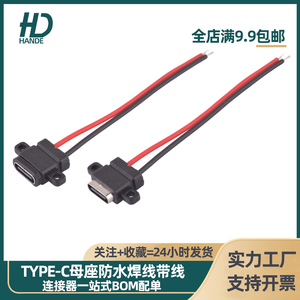 TYPE-C母座防水焊线2P带线线束端子USB C母头防水连接器座子